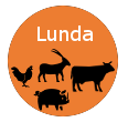 Lunda Platform
