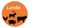 Lunda Platform